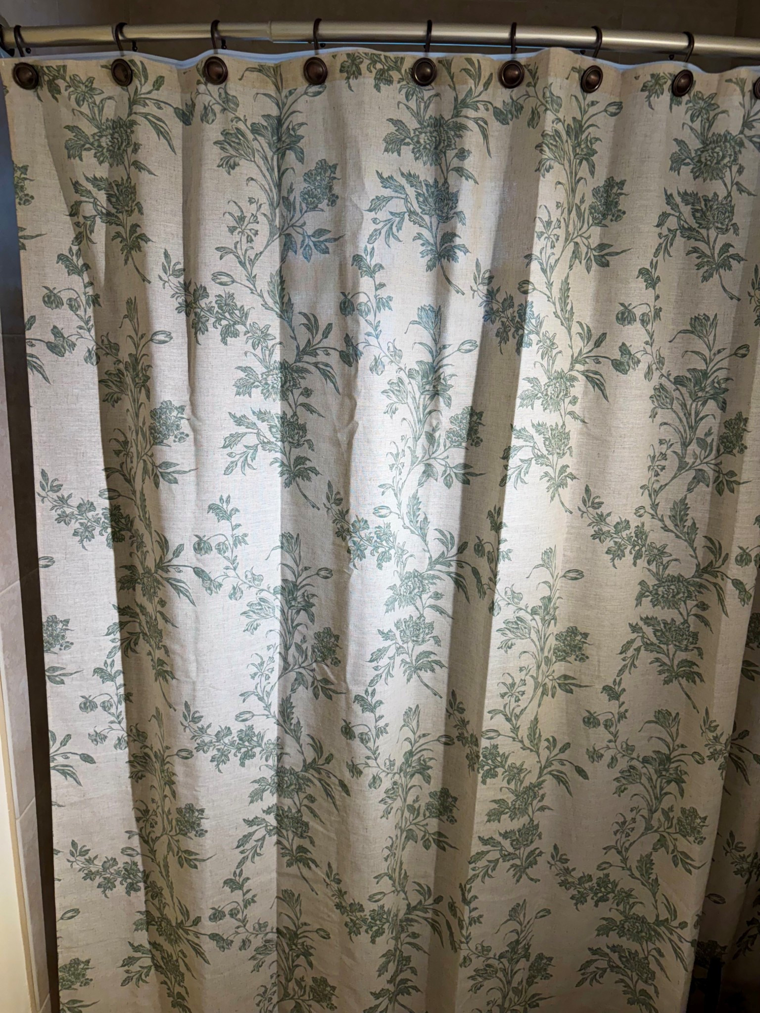 Shower curtain and shower hooks 

#LTKdayinmylife #LTKHome