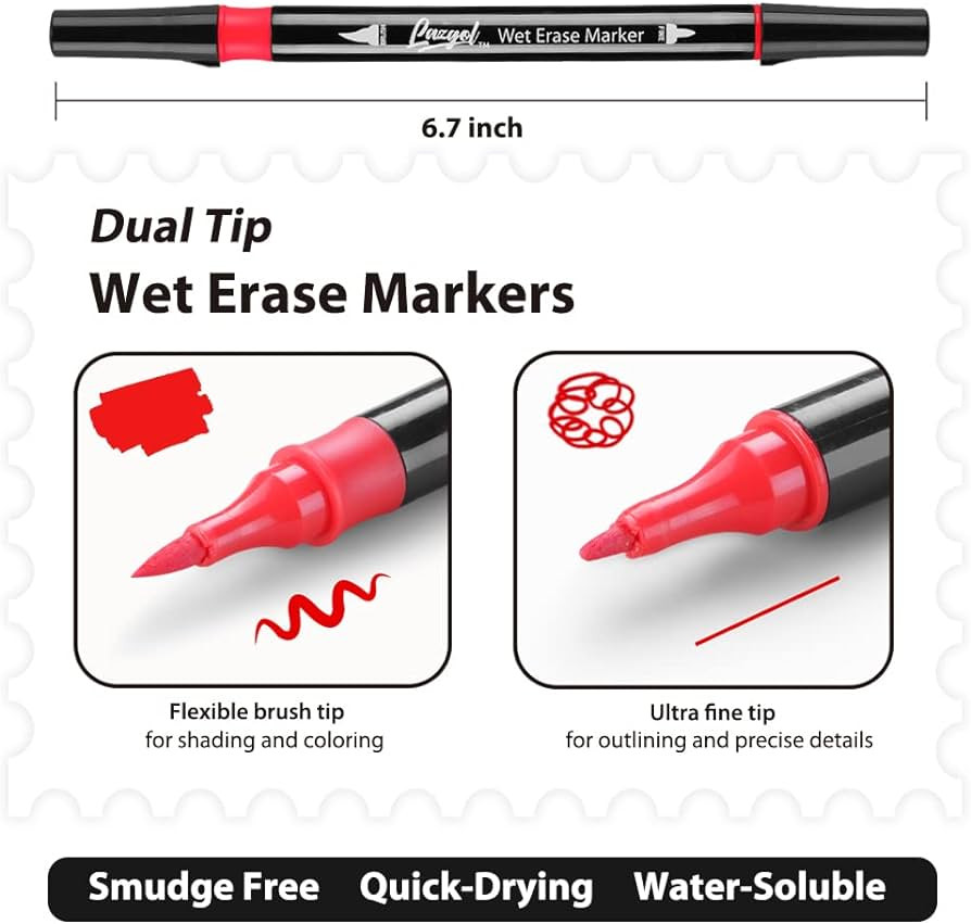 Wet Erase Markers Dual Tip, Lazgol 12 Assorted Colors, Dual Tip Brush & Fine Overhead Transparenc... | Amazon (US)