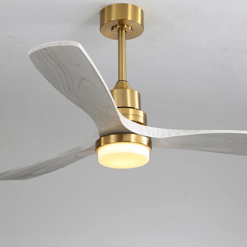 Kemp 52'' Ceiling Fan with LED Lights | Wayfair North America