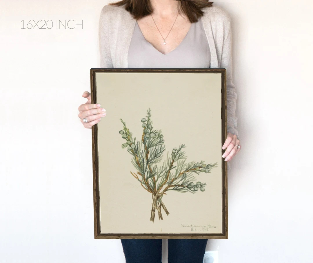 Juniper Christmas Tree Branch | Holiday Decor | Vintage Christmas | Christmas Prints | Winter Pri... | Etsy (CAD)