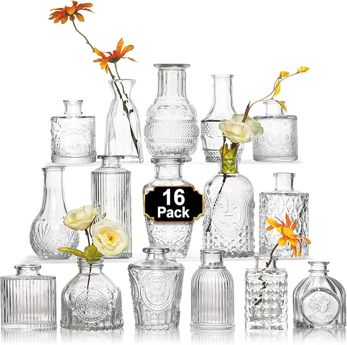 Arme 16Pcs Glass Bud Vase Set，Small Flower Vase for Centerpieces，Clear Bud Vases in Bulk， M... | Amazon (US)