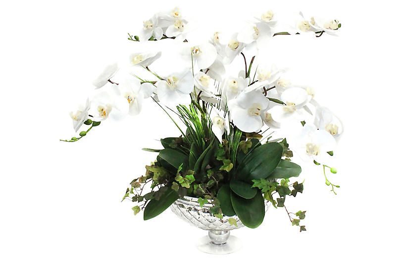 25" White Orchid w/ Pedestal Bowl, Faux | One Kings Lane