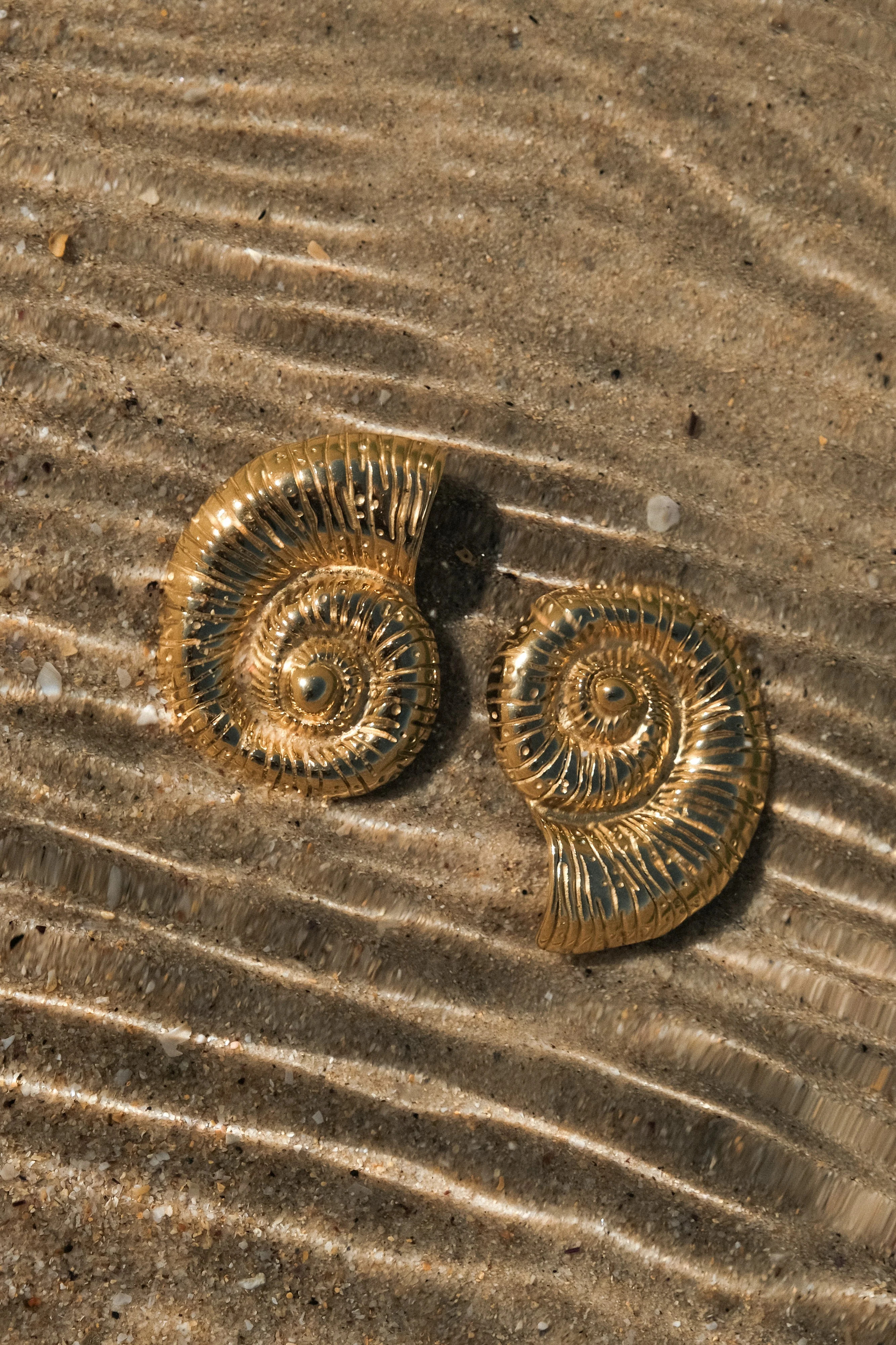 Shell Earrings - Gold | MESHKI US