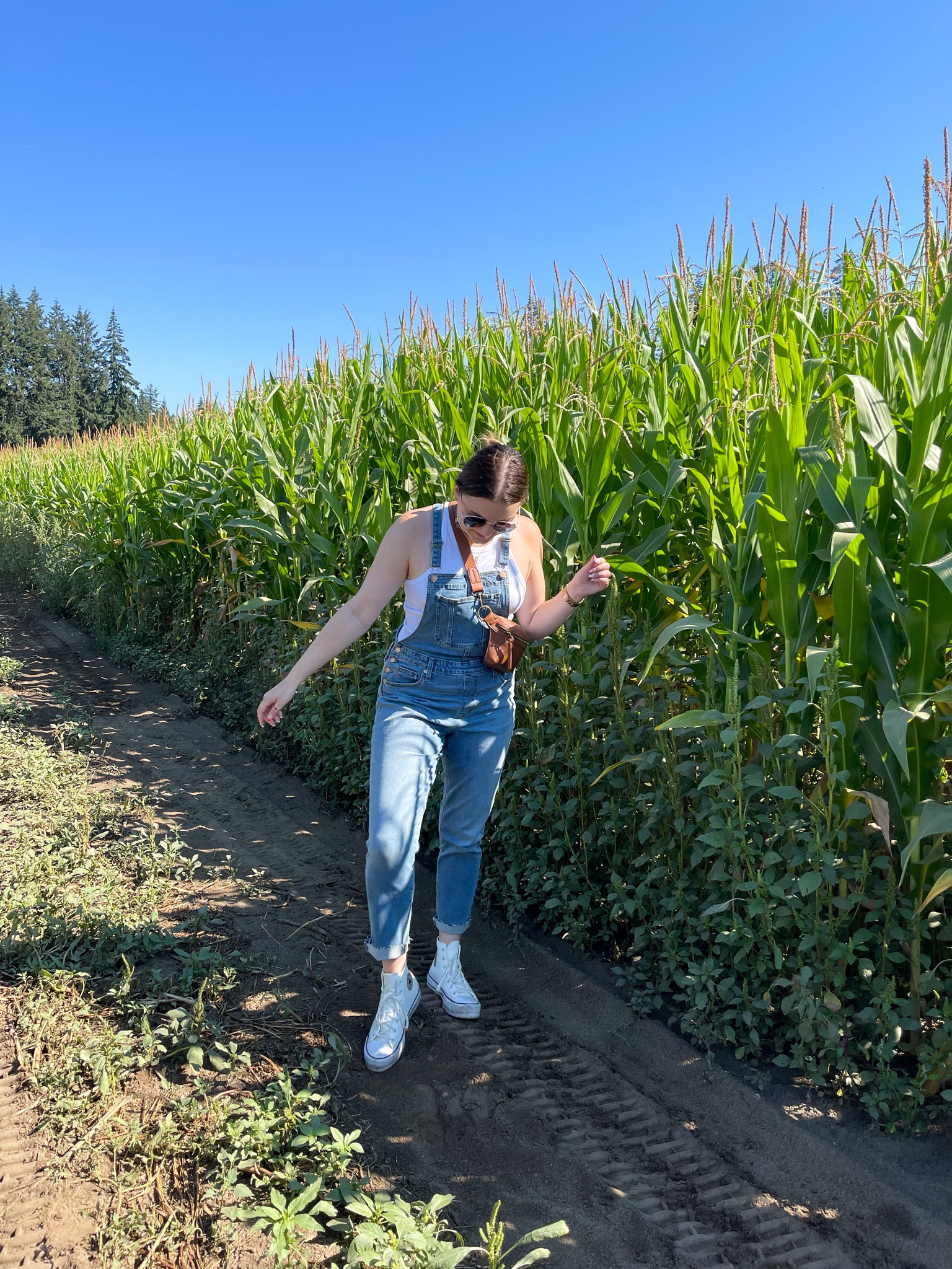 Early fall outfit idea featuring overalls from Target!

I’m wearing a M tank, size 30 overalls and size 9 sneakers 

#LTKstyletip #LTKunder100 #LTKSeasonal
