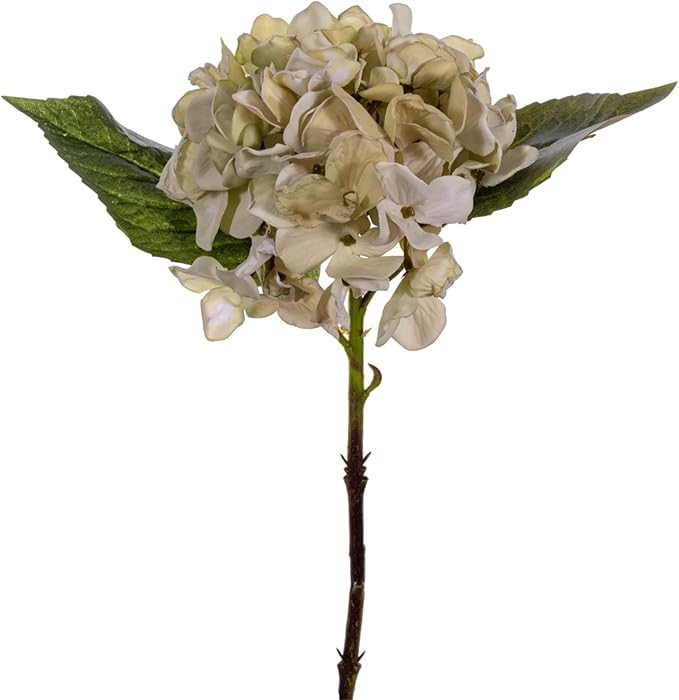 Vickerman 13" White Artificial Dried Hydrangea Pick, 3 per Bag. | Amazon (US)