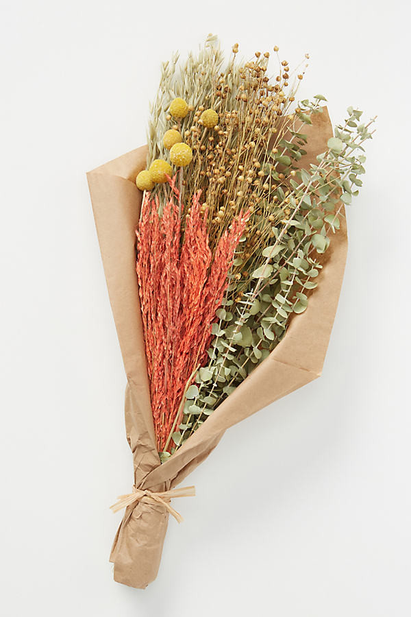 Dried Poppy Bouquet By Anthropologie in Assorted Size ALL | Anthropologie (US)