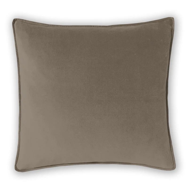 Alla Square Velvet Pillow Cover & Insert | Wayfair North America