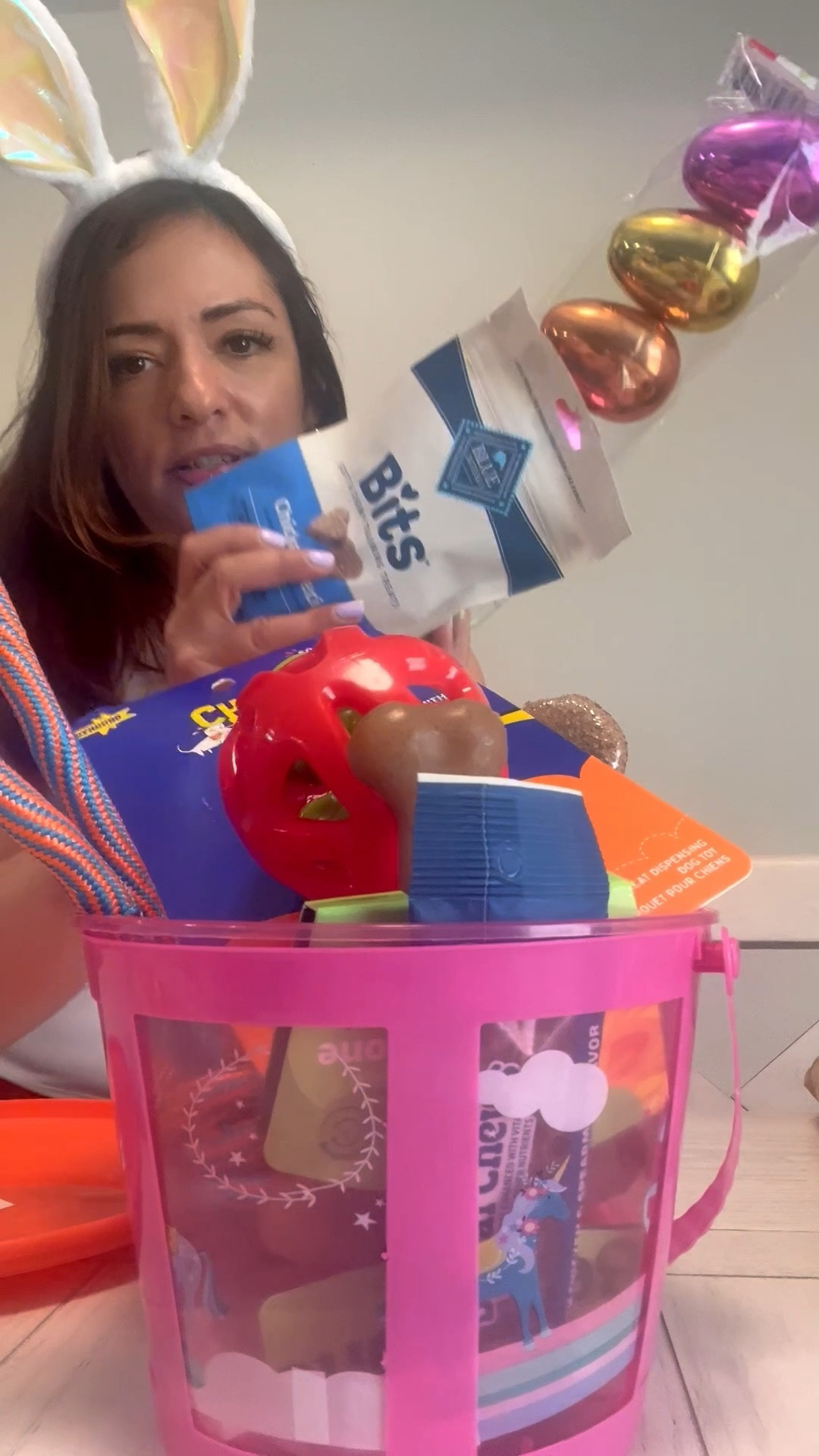 Furbaby Easter basket idea 



#LTKstorytime #LTKSeasonal