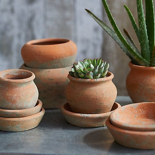 Earth Fired Clay Natural Curve Pots + Saucers, 3 Sizes Set | Terrain