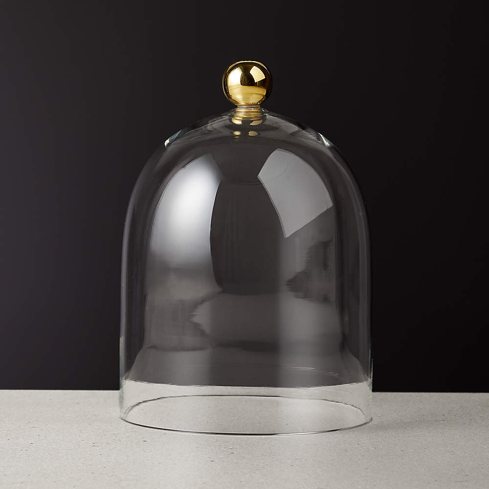 Glass Cloche + Reviews | CB2 | CB2