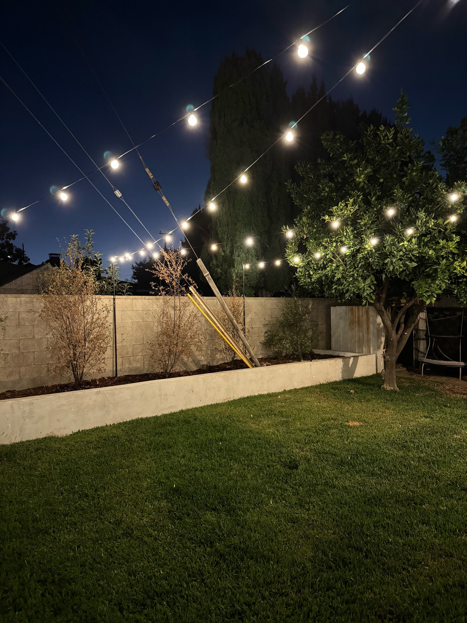 Backyard patio string lights ✨ 

#LTKHome