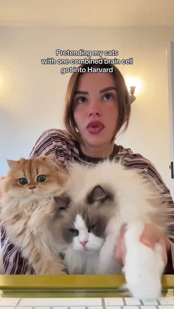   

 #LTKWatchNow #LTKBeauty