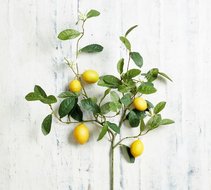 Faux Lemon Branch | Pottery Barn (US)