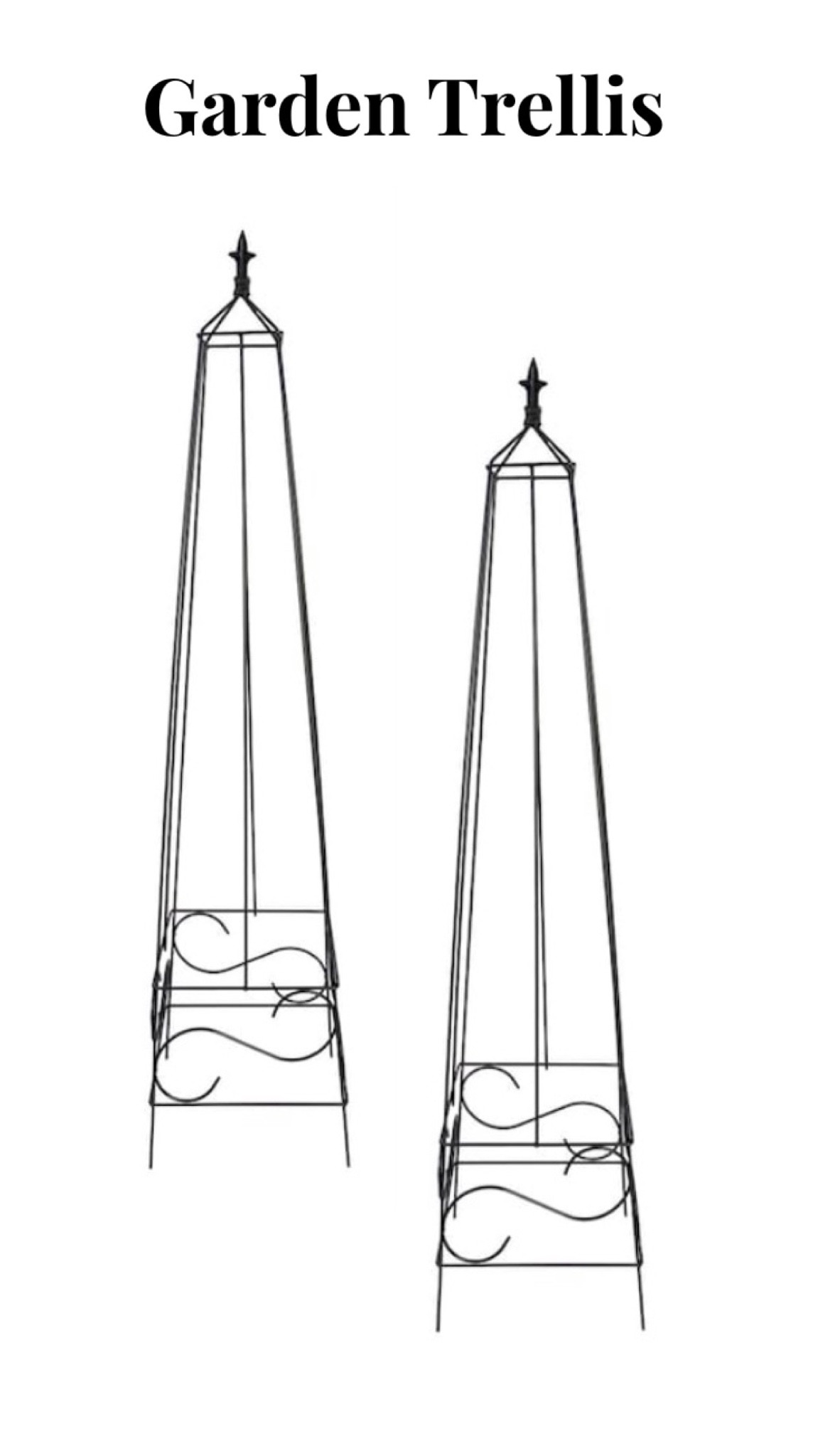 Garden trellis 