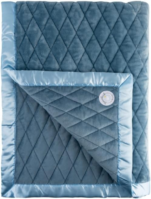 DREAMLAND BABY Toddler Weighted Blanket | 4lb Weighted Sleep Blanket for Kids and Toddlers Ages 3... | Amazon (US)