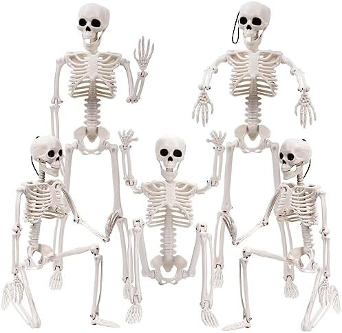 XIMISHOP 5pcs Halloween Skeleton Decoration, 16" Full Body Posable Hanging Skeleton with Movable ... | Amazon (US)