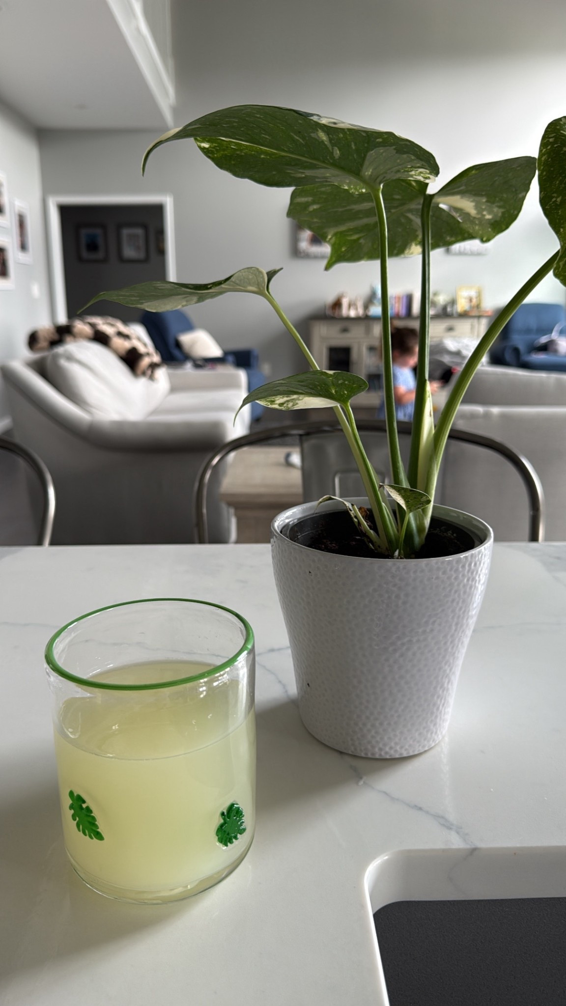 these icon glasses have so many options I love themmmm and so affordable 