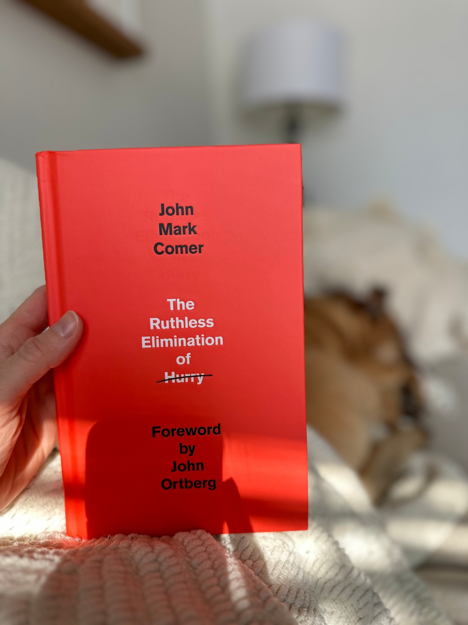 such a good book that I’m recommending in every conversation I have! 

#LTKTravel #LTKHome