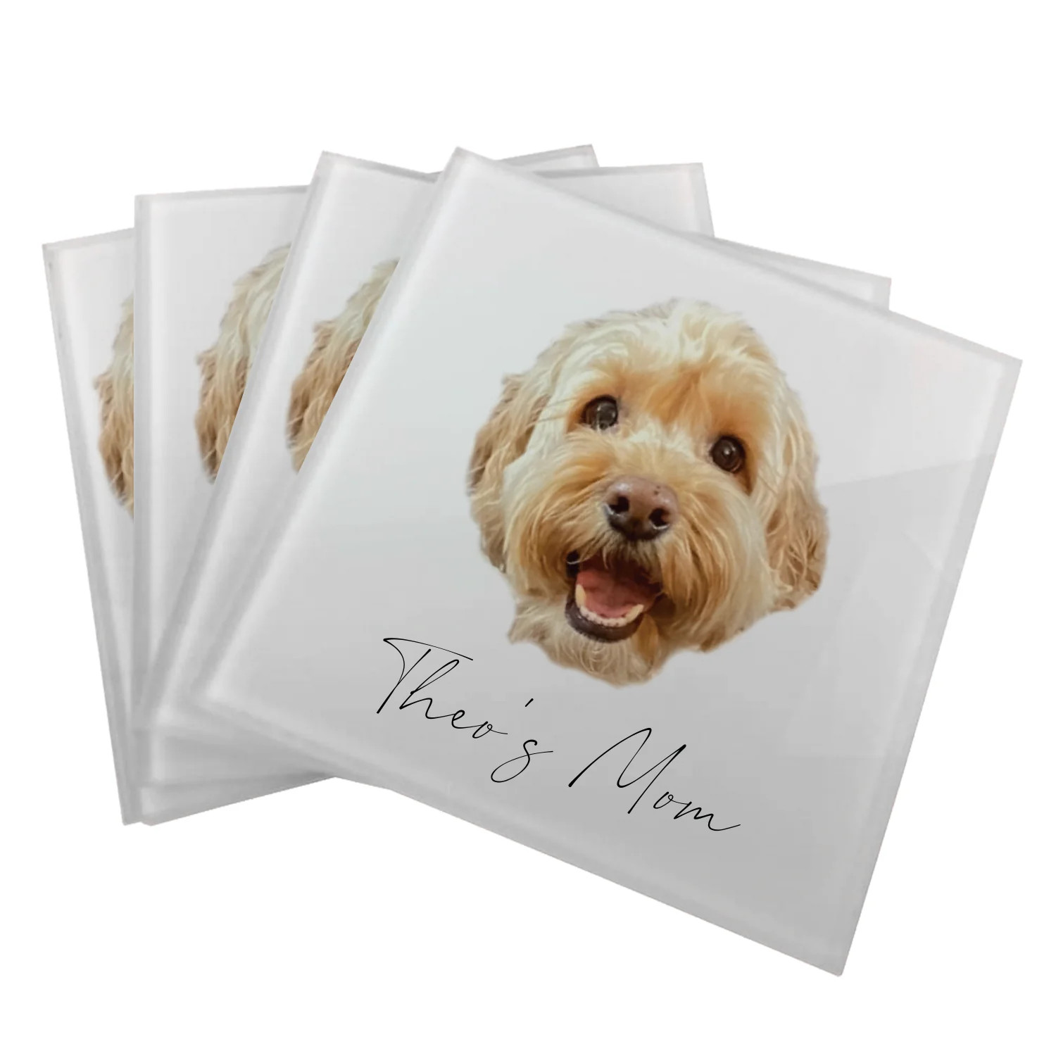 Personalized Pet Coaster | Type League Press