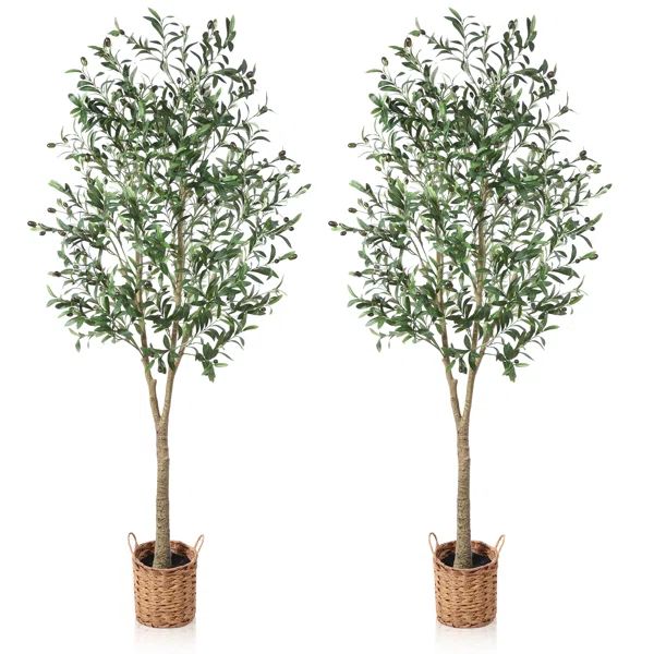Adcock Artificial Olive Tree In Pot Faux Olive Plant for Home Décor | Wayfair North America