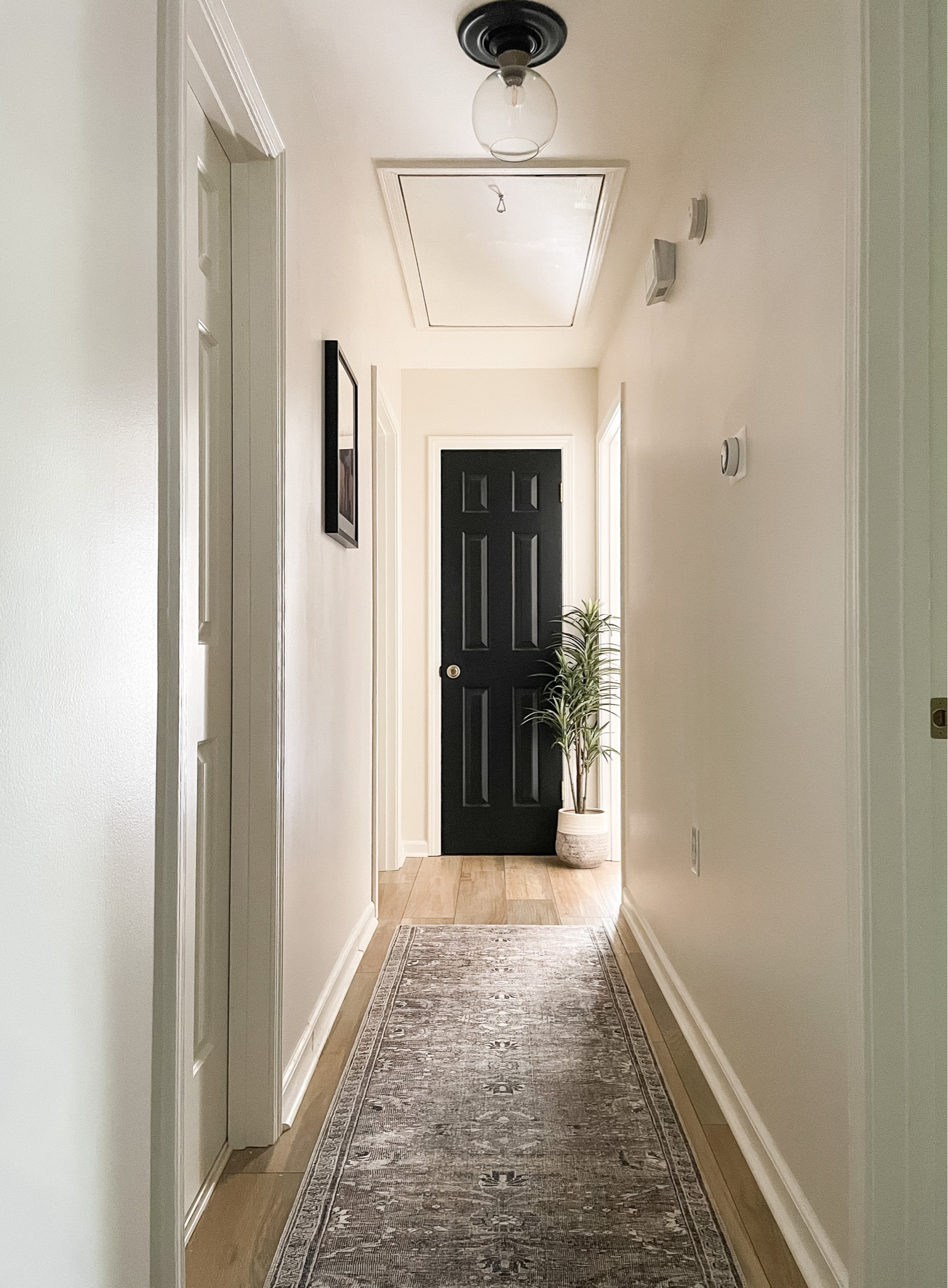 Amazon prime day deal!
Loloi hallway runner rug 
#LTKxPrimeDay 

#LTKhome #LTKsalealert