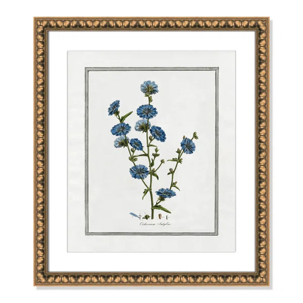 Soft Botanical I | Birch Lane