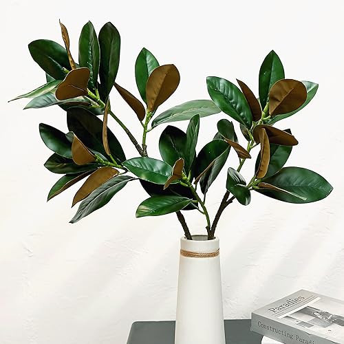 Olivachel Artificial Magnolias Branches Faux Rubber Tree Leaves Long Stem Real Touch for Home Indoor Outdoor Decor (Green, Pack of 2pcs) | Amazon (US)