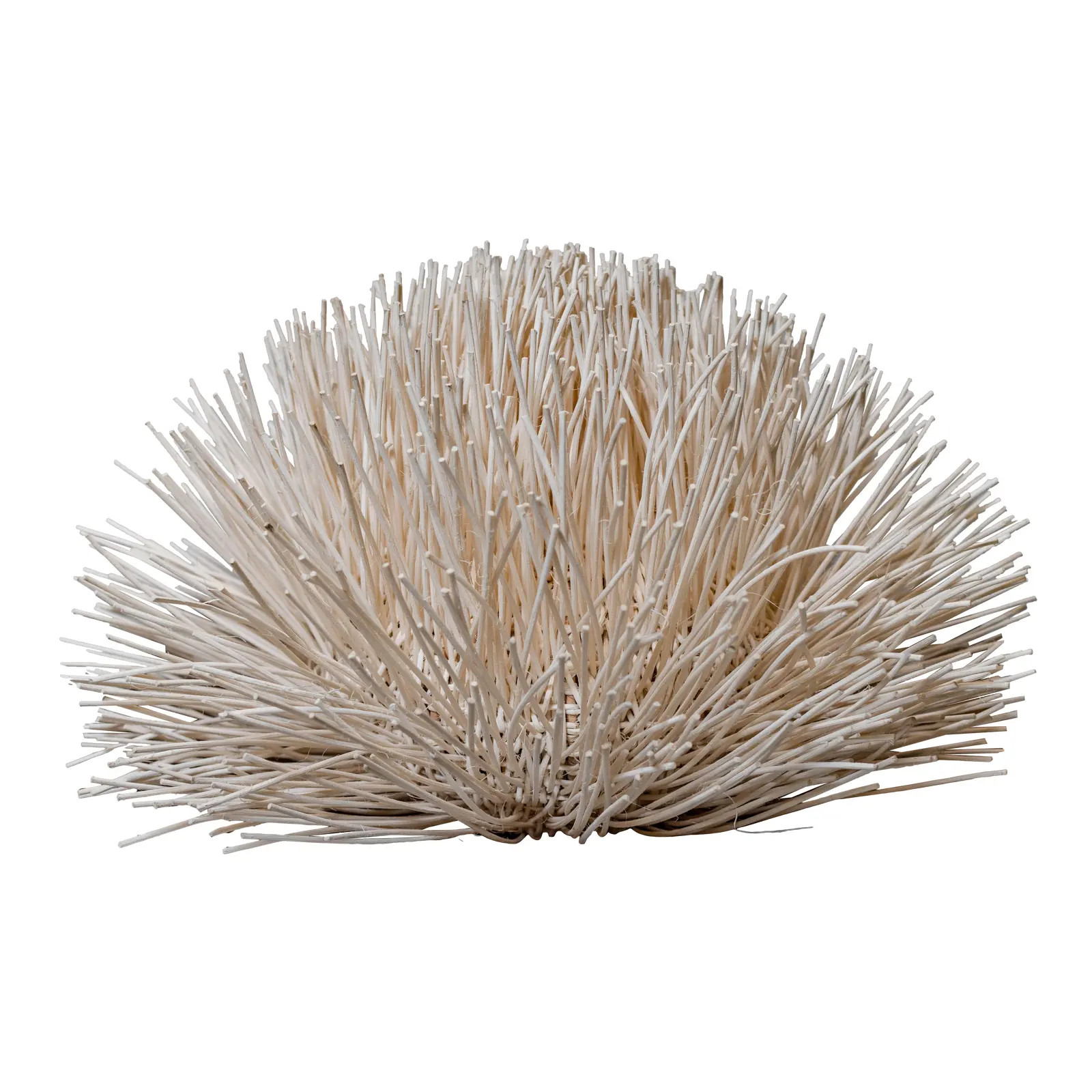 Rattan Urchin Transitional Wall Art | Chairish