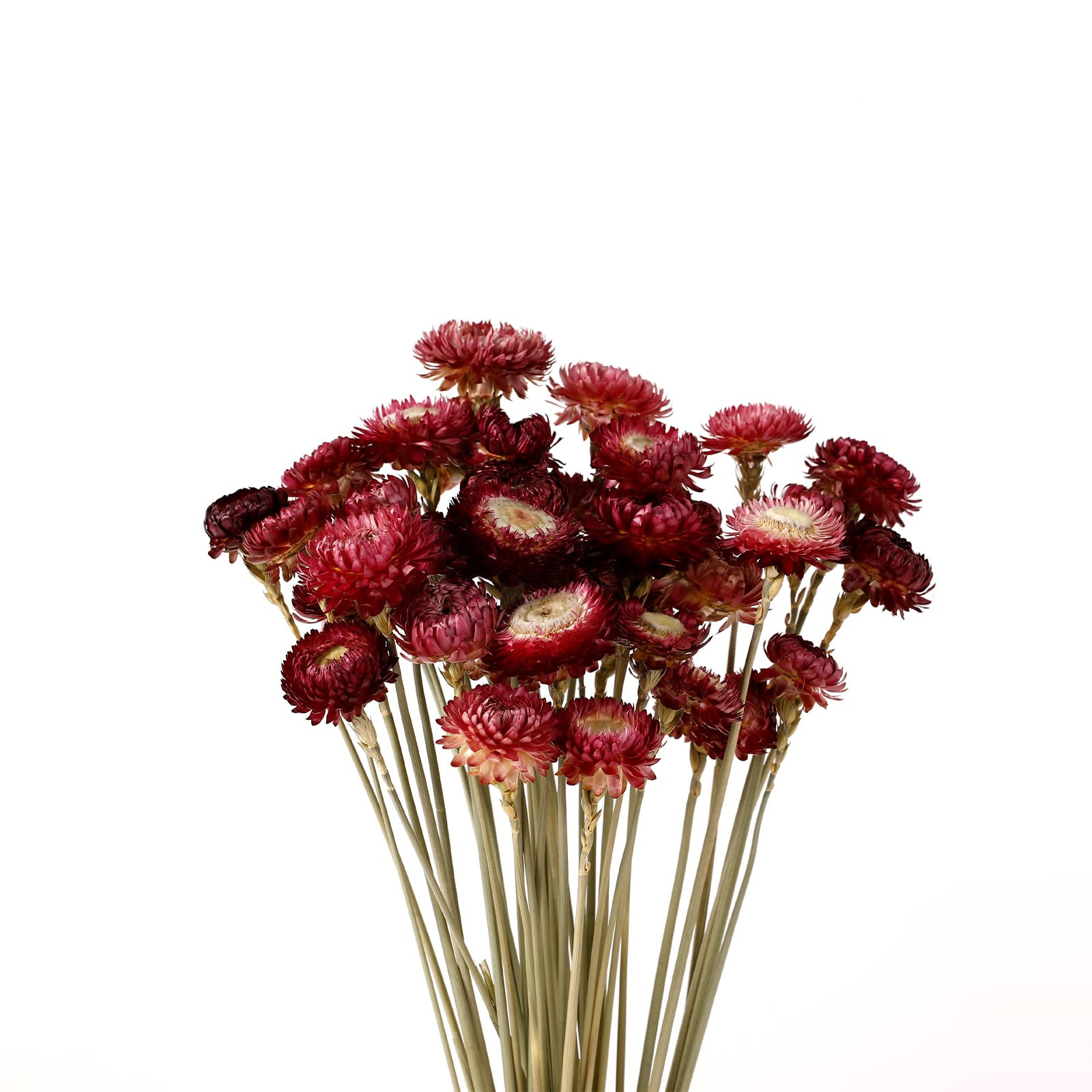 Dried Flower 40PCS Daisy Bouquet 100% Natural Chrysanthemum Dry Flower with Stem for Vase Home d... | Amazon (US)