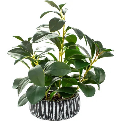 Artificial Plants Decor Greenery Fake Succulents Indoor Potted Fake Plant With Rustic Black Clay Planter For Farmhouse Room Bathroom Bedroom Kitchen O | Wayfair North America