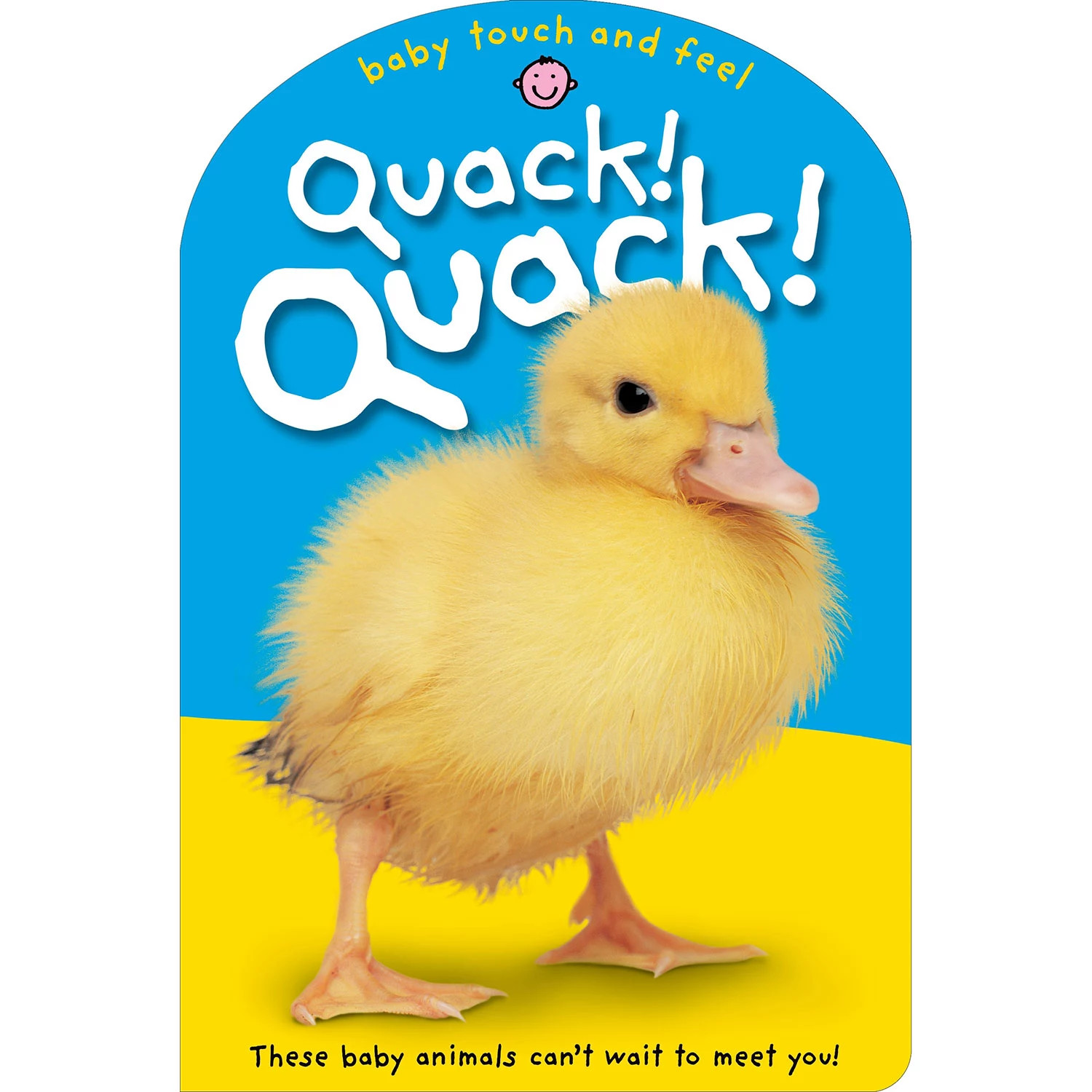 Baby Touch & Feel: Quack! Quack!, Board Book | Sam's Club