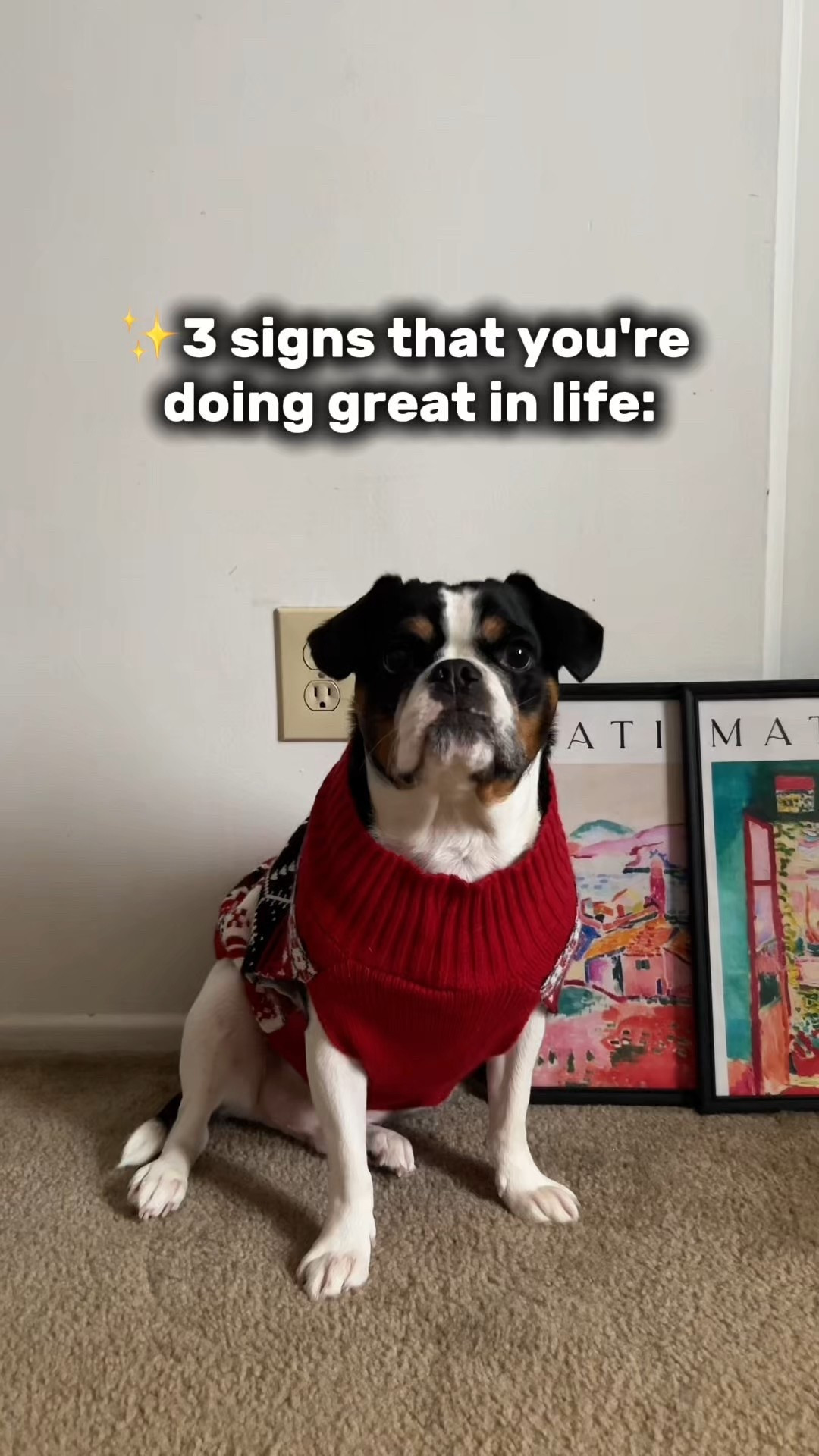 Life Is Going to Be Okay (Especially If You Have a Dog) 😊

✨Follow & subscribe for more dog shorts, wholesome pet moments, and life with Rio 🐾

#LTKFindsUnder50 #LTKstorytime #LTKmomlife