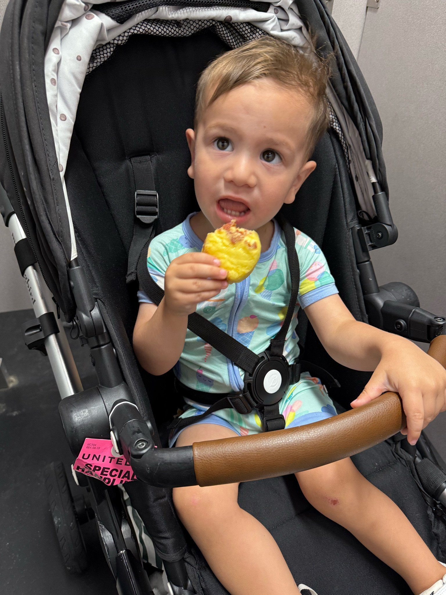 This baby lives for egg bites and watching his big brother play hockey 🏒💛 I love that he can snooze in his @littlesleepies jammies and be carted straight to the rink for early morning games — cozy, cute, and ready to cheer! 💤✨ #HockeyBaby #LittleSleepies #RinkLife #LilBrotherFanClub #CozyOnTheGo

#LTKFamily #LTKBaby #LTKTravel