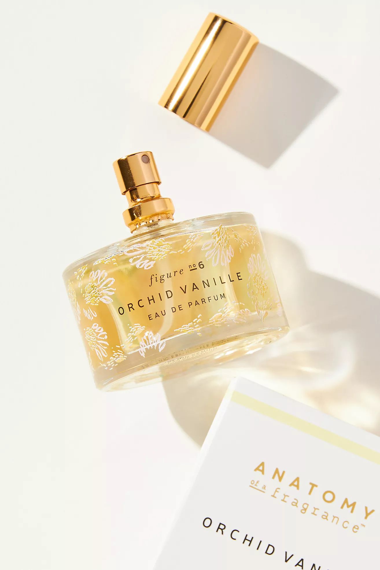 Anatomy of a Fragrance Eau De Parfum | Anthropologie (US)