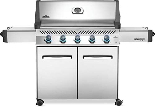 Napoleon P665NSS Prestige 665, Stainless Steel Natural Gas Grill, sq | Amazon (US)