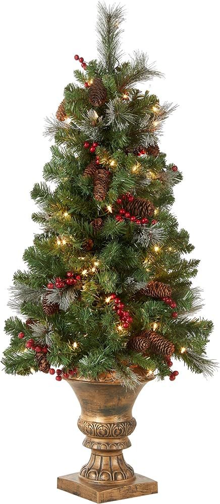 National Tree Company Pre-Lit Artificial Mini Christmas Tree, Green, Crestwood Spruce, White Ligh... | Amazon (US)