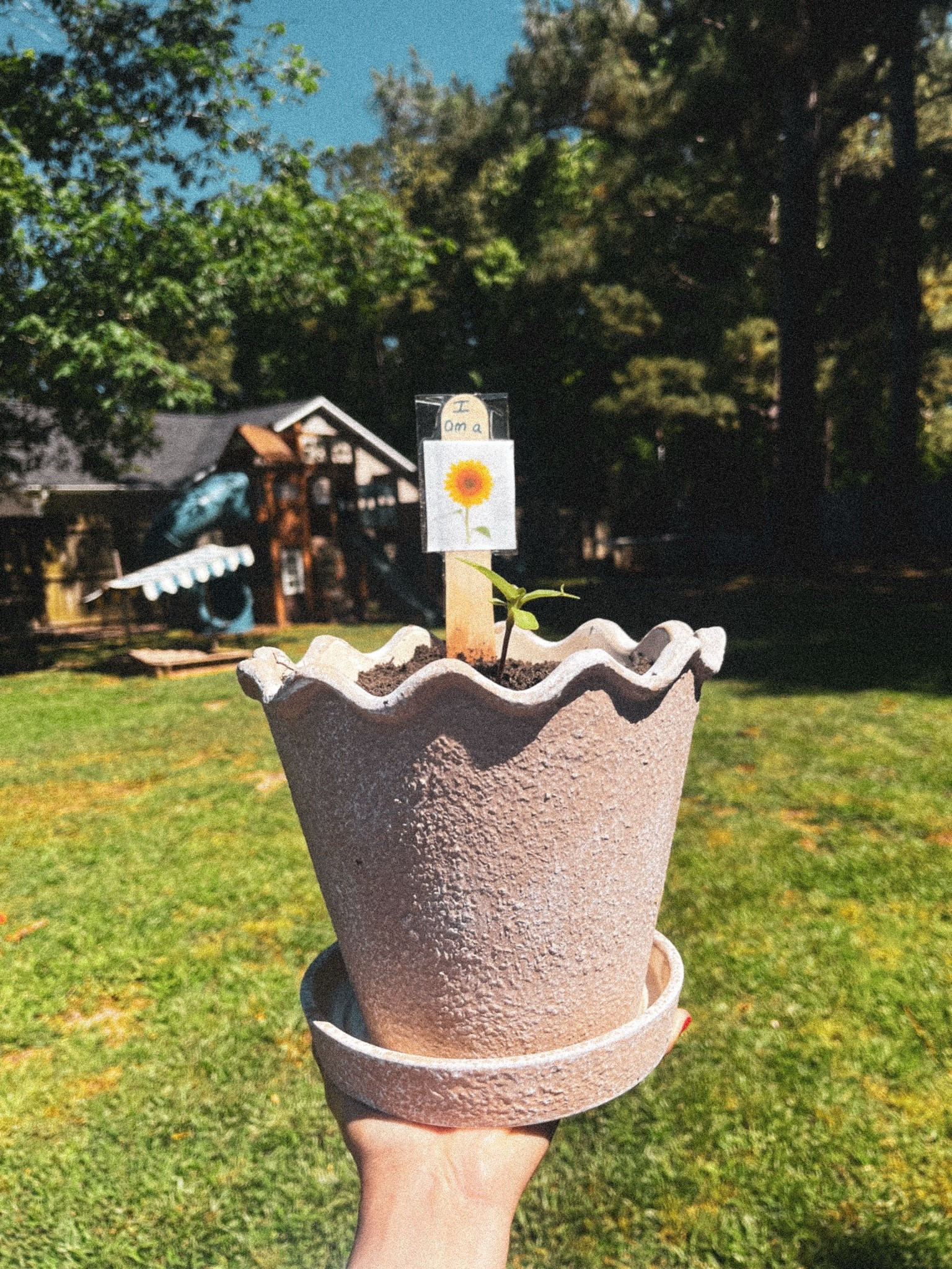 Scalloped planter!

#LTKHome