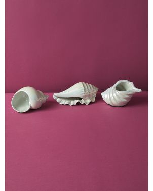 3pk Ceramic Decorative Shells | HomeGoods