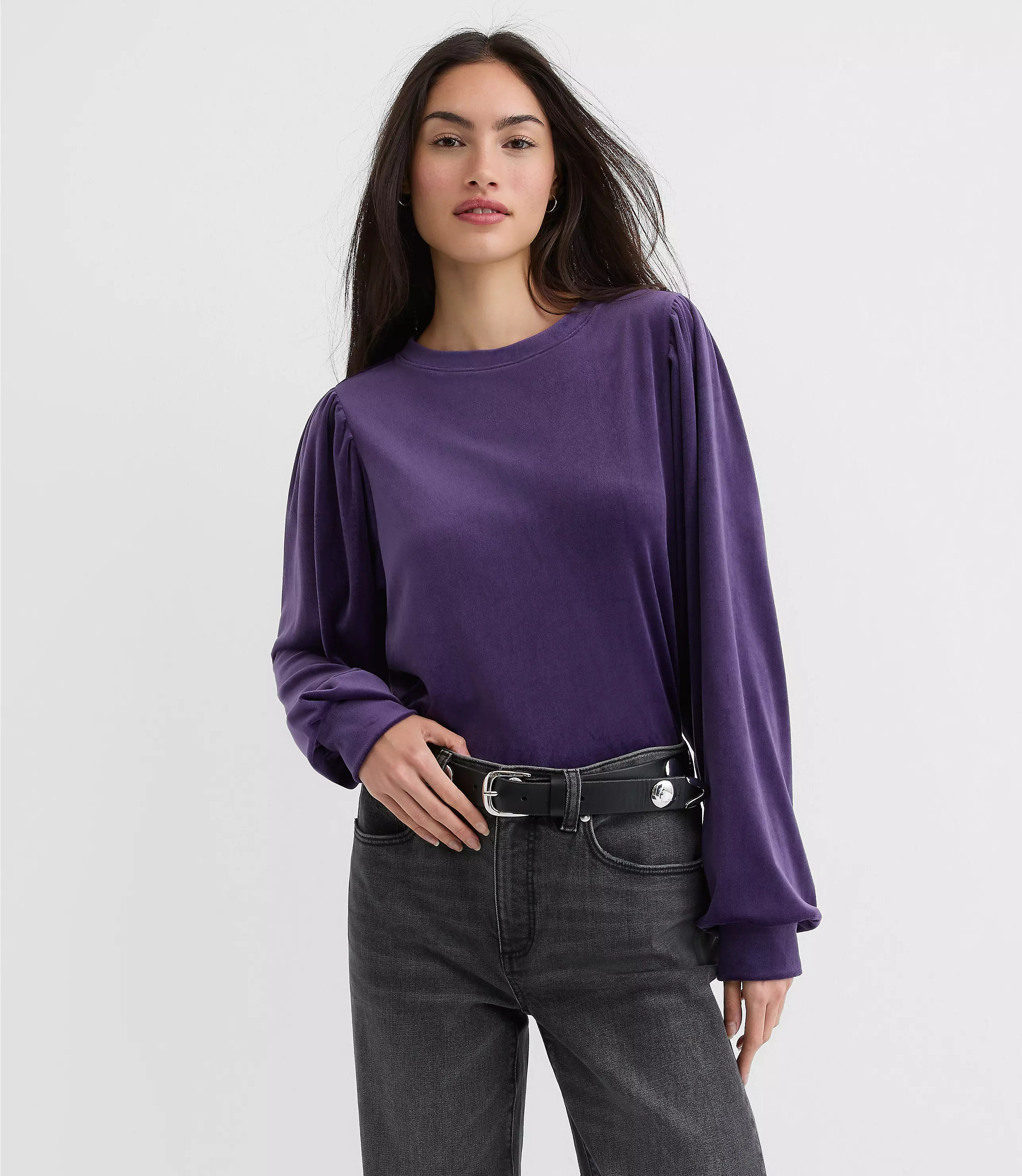 Velour Sweatshirt | LOFT