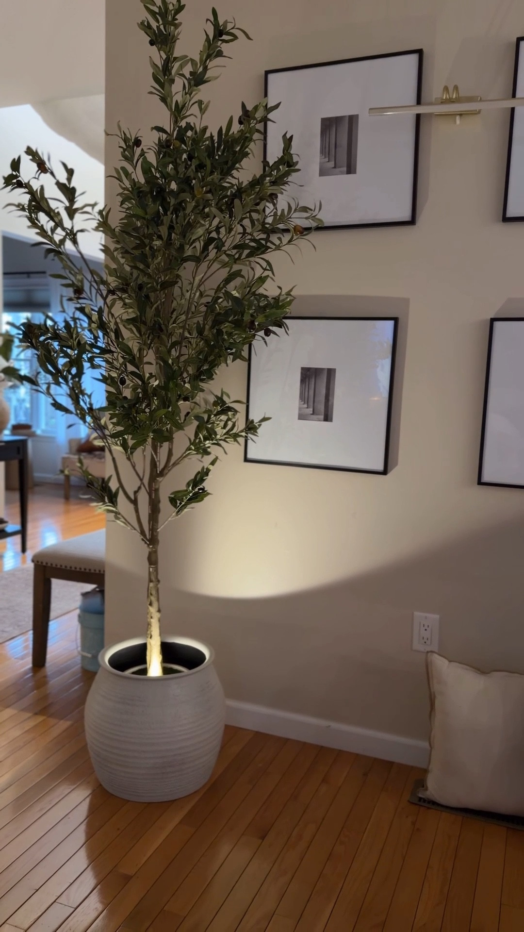 Look how I styled this olive tree 🌿

I found this olive tree at Walmart for under $100 and paired it with this Target vase that looks straight out of Pottery Barn… but it was only $30.

Affordable decor that still gives that high-end home aesthetic is my favorite kind of find.

Would you add this to your home?
Comment TREE and I’ll send you the links 🤍 #walmarthome #targetolanter #targetvase #outdoorvase #olivetree

#LTKHome #LTKvlog #LTKdayinmylife