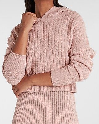Cable Knit Hooded Sweater | Express