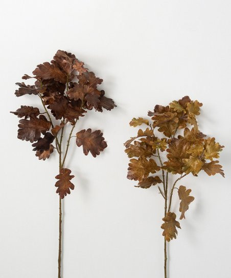 Light & Dark Oak Leaf Spray - Set of Two | Zulily