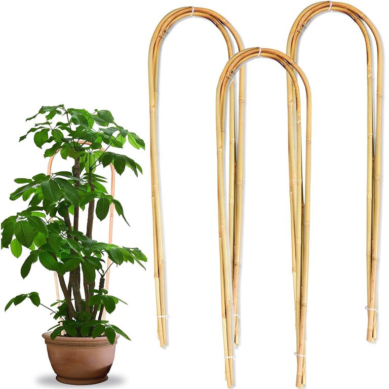 10 Pack Bamboo Trellis,Natural Bamboo Plants Trellis U-Hoop,Bexikou 16" Garden Trellis with Ties,... | Walmart (US)