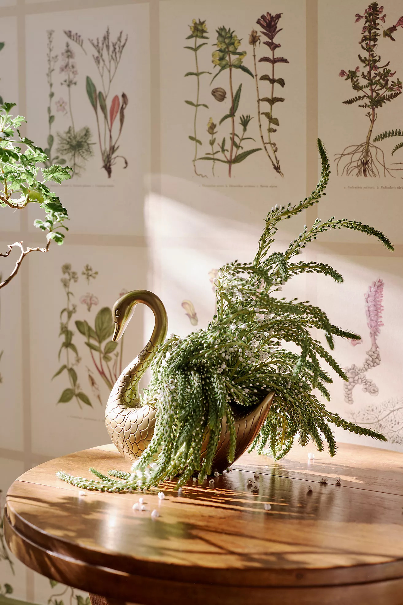 Metal Swan Planter | Anthropologie (US)