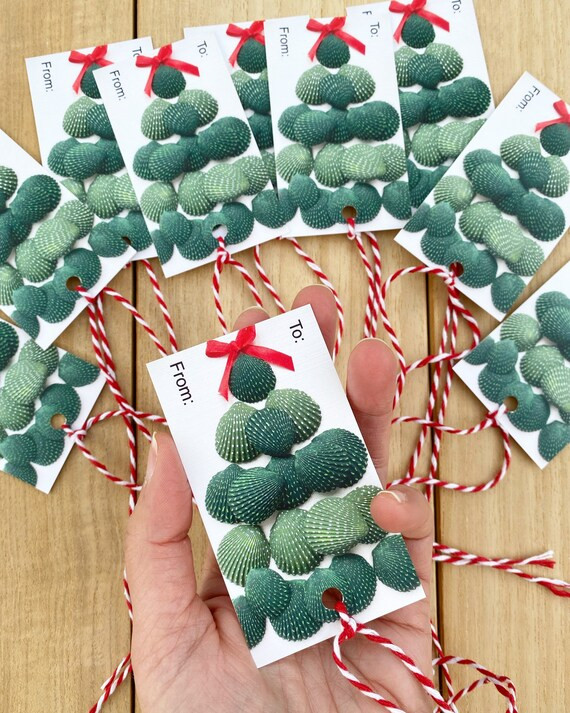 Shelly Tree Gift Tag | Etsy | Etsy (US)
