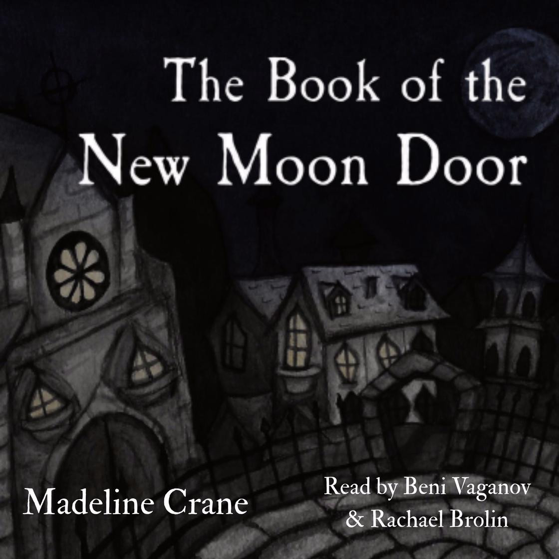 The Book of the New Moon Door | Libro.fm (US)