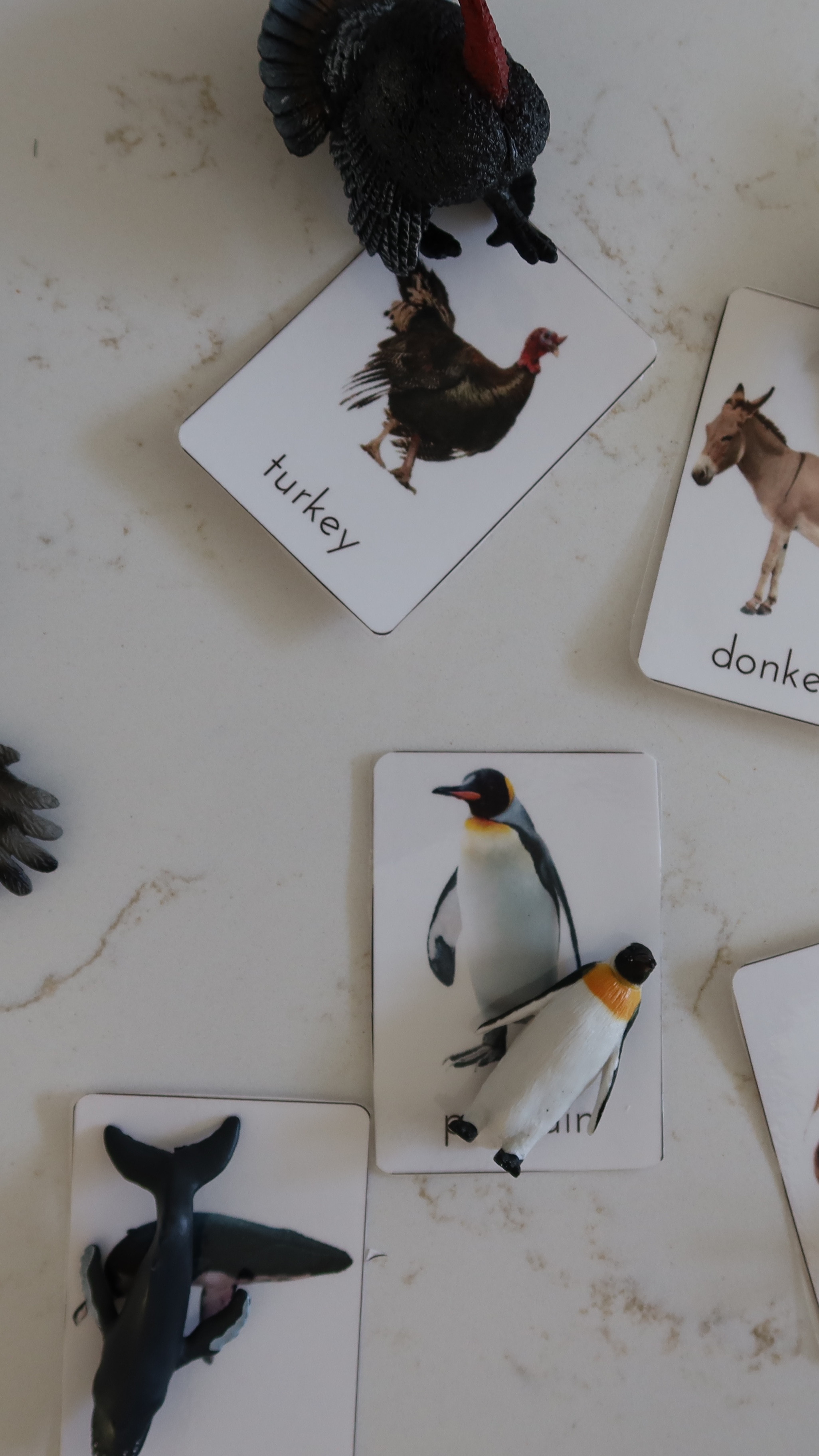 Toddler animal recognition cards and figurines for learning  

#LTKFamily #LTKBaby #LTKKids