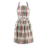 DII Nordic Christmas Kitchen Collection, Skirted Apron, Yuletide Plaid | Amazon (US)