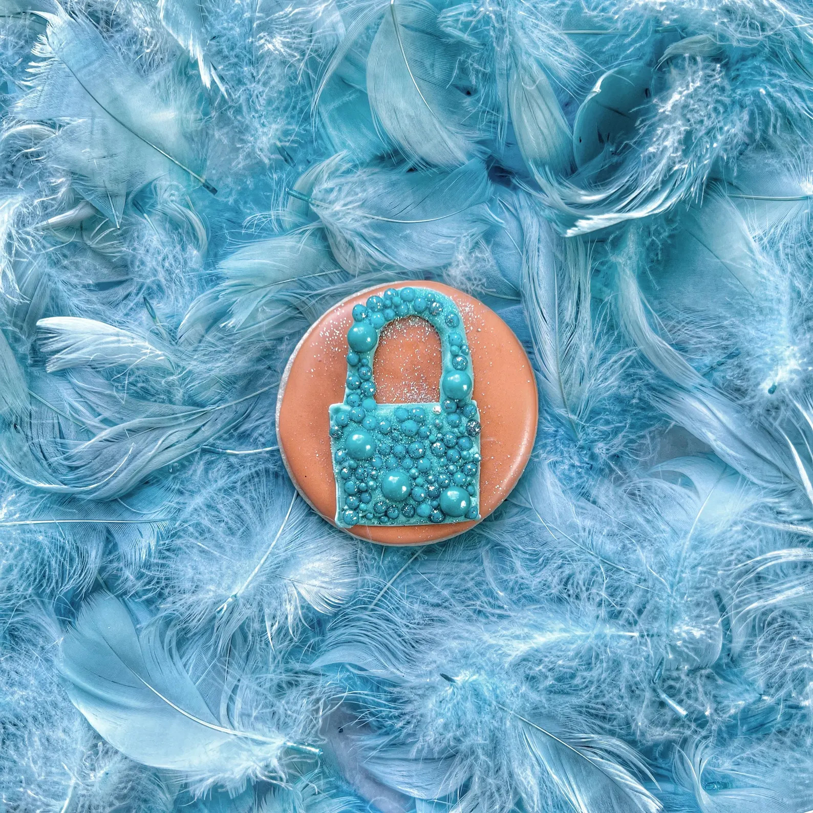 The life of a showgirl inspired assorted dozen | Etsy (US)