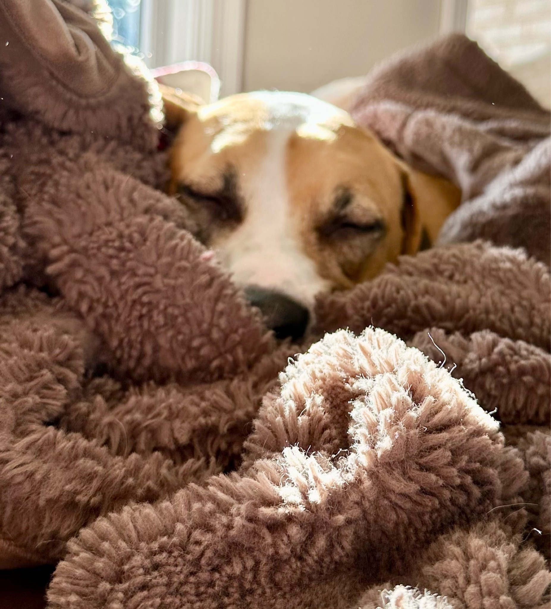 Pottery Barn throws are up to 50 percent off! Time to get cozy! 

#LTKHoliday #LTKSaleAlert #LTKGiftGuide